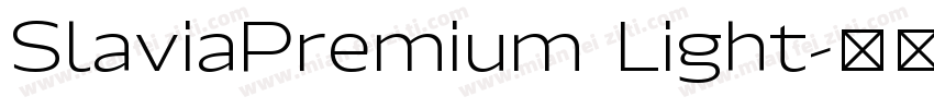 SlaviaPremium Light字体转换